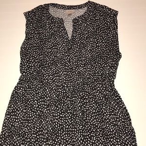Anne Taylor Loft dress